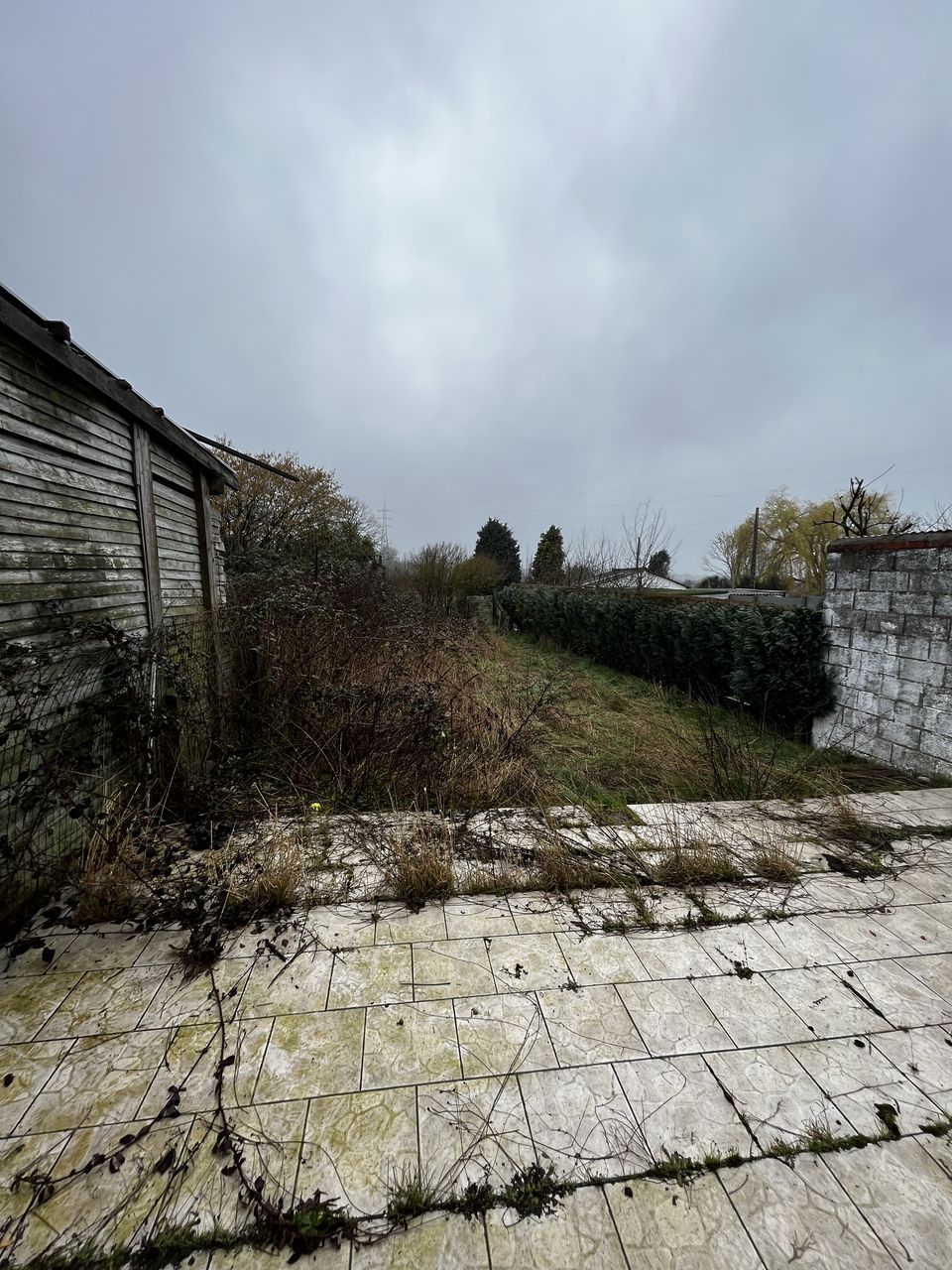 Avenue_Germinal_50_-10